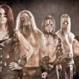 Ensiferum 2013